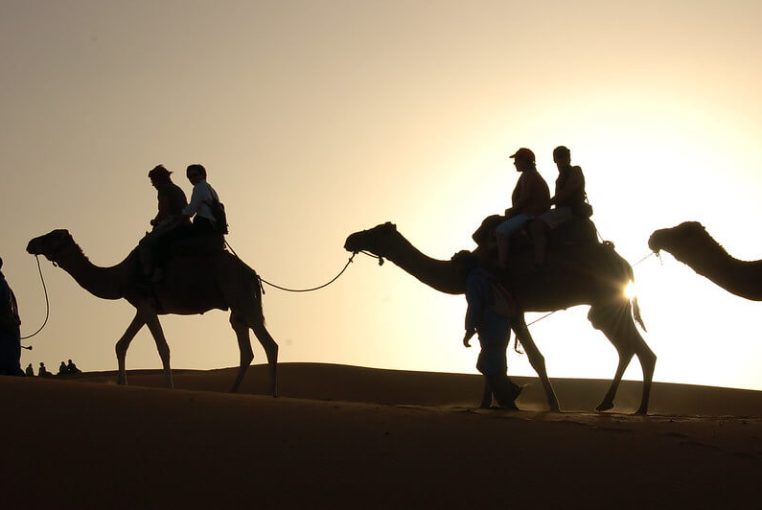 Contact Desert Morocco Tours