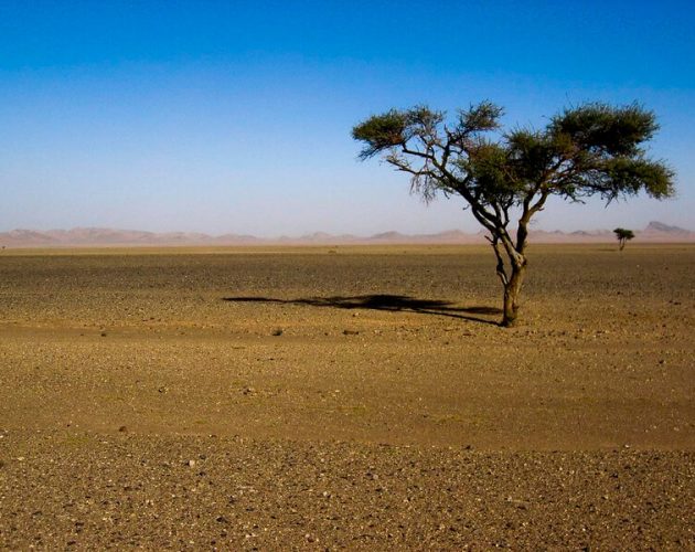 5 day marrakech to merzouga