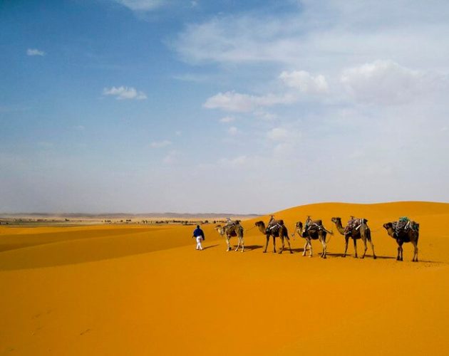 5 days tour from marrakech to merzouga
