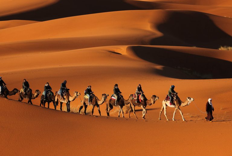 desert morocco tours